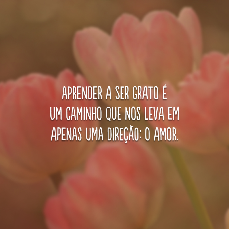 Aprender a ser grato é um caminho que nos leva em apenas uma direção: o amor.
