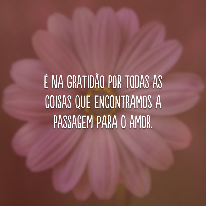 É na gratidão por todas as coisas que encontramos a passagem para o amor.
