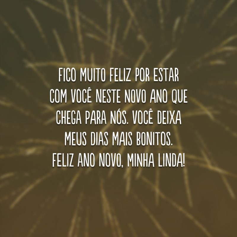 Fico muito feliz por estar com você neste novo ano que chega para nós. Você deixa meus dias mais bonitos. Feliz Ano Novo, minha linda!
