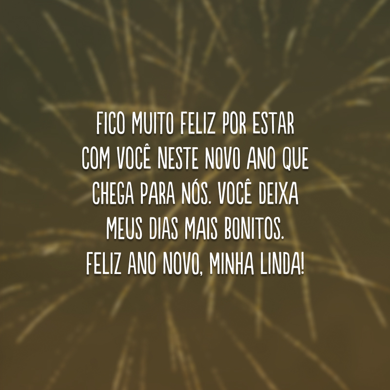 Fico muito feliz por estar com você neste novo ano que chega para nós. Você deixa meus dias mais bonitos. Feliz Ano Novo, minha linda!
