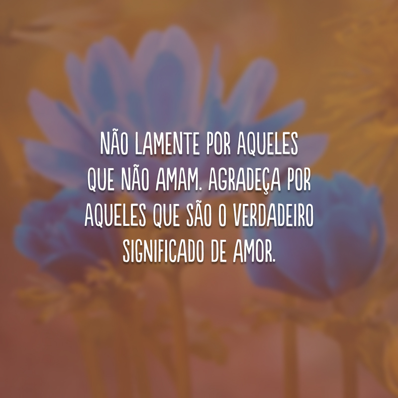 Não lamente por aqueles que não amam. Agradeça por aqueles que são o verdadeiro significado de amor.
