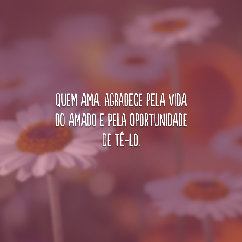 Quem ama, agradece pela vida do amado e pela oportunidade de tê-lo.
