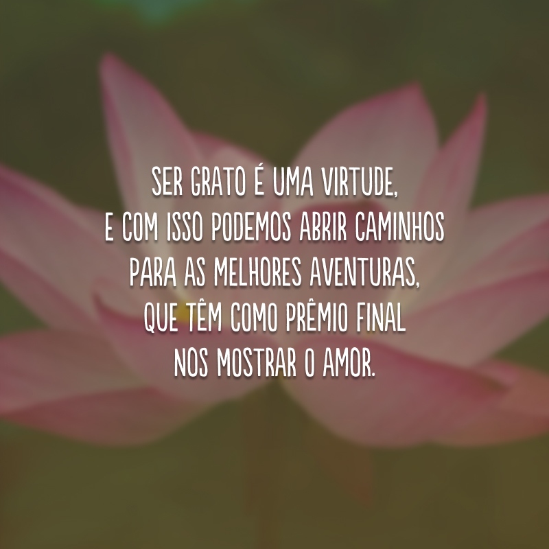 Ser grato é uma virtude, e com isso podemos abrir caminhos para as melhores aventuras, que têm como prêmio final nos mostrar o amor.