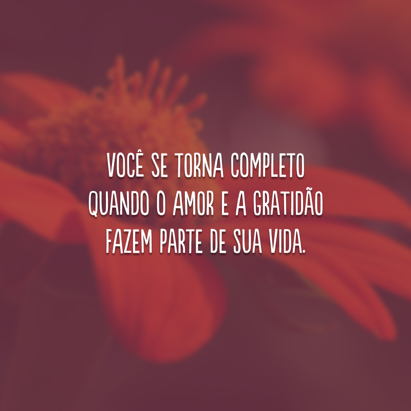 Você se torna completo quando o amor e a gratidão fazem parte de sua vida.
