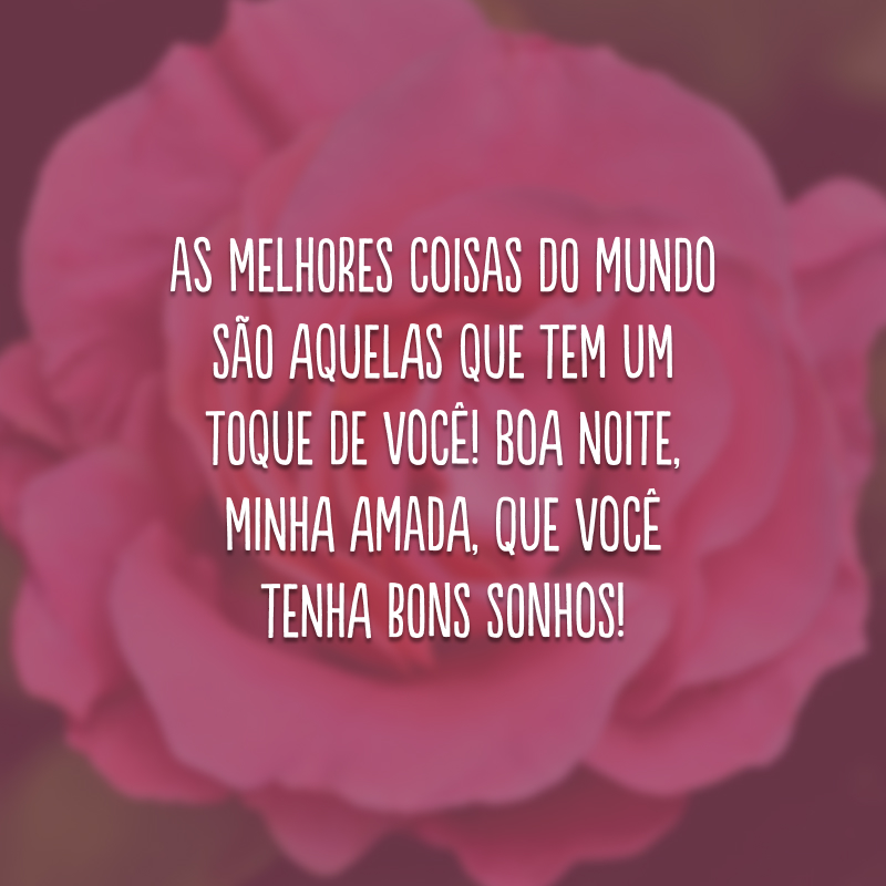 As melhores coisas do mundo são aquelas que tem um toque de você! Boa noite, minha amada, que você tenha bons sonhos!
