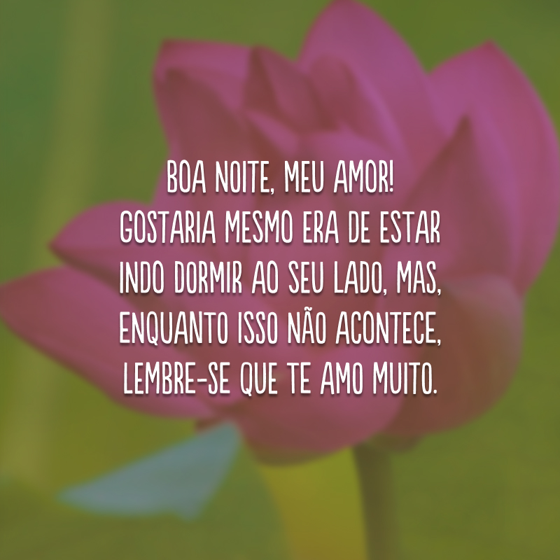 Boa noite, meu amor! Gostaria mesmo era de estar indo dormir ao seu lado, mas, enquanto isso não acontece, lembre-se que te amo muito.
