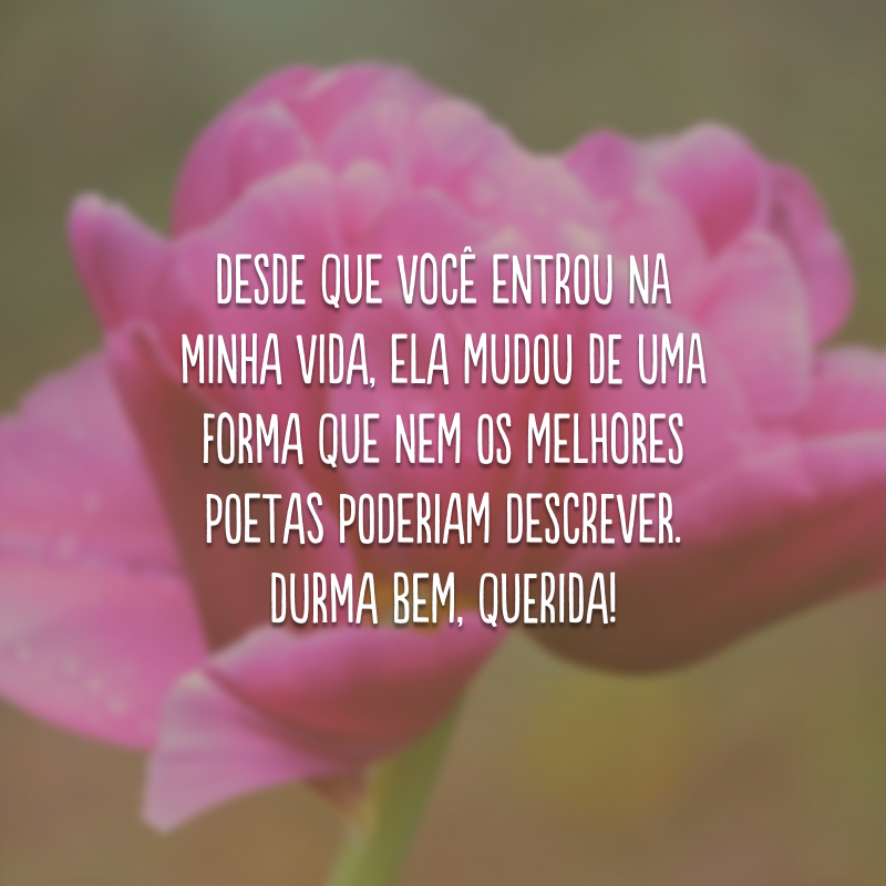 Desde que você entrou na minha vida, ela mudou de uma forma que nem os melhores poetas poderiam descrever. Durma bem, querida!
