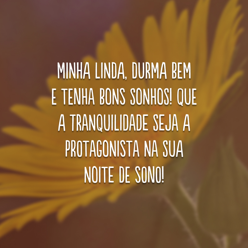 Minha linda, durma bem e tenha bons sonhos! Que a tranquilidade seja a protagonista na sua noite de sono!
