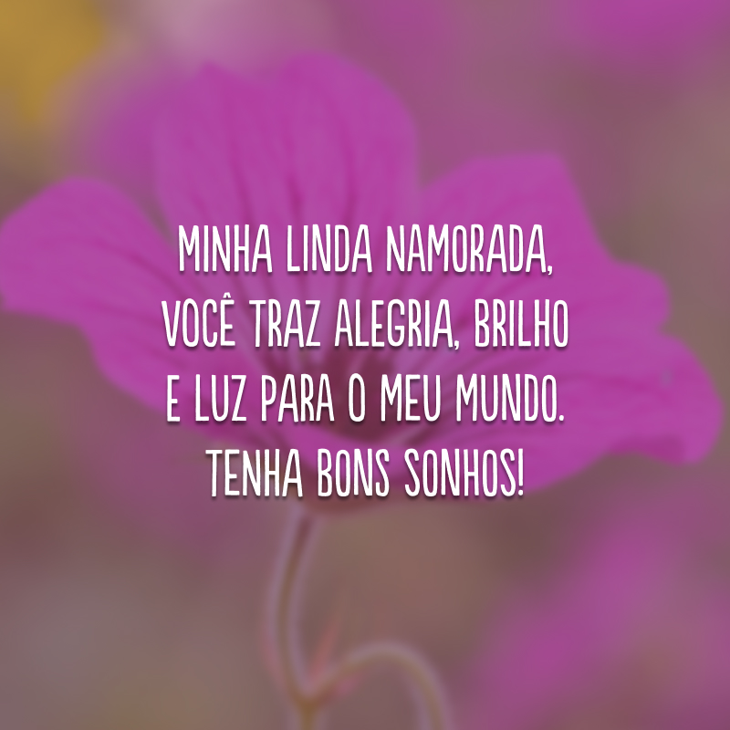 Minha linda namorada, você traz alegria, brilho e luz para o meu mundo. Tenha bons sonhos!
