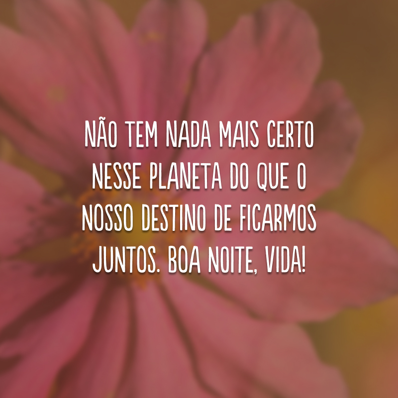 Não tem nada mais certo nesse planeta do que o nosso destino de ficarmos juntos. Boa noite, vida!
