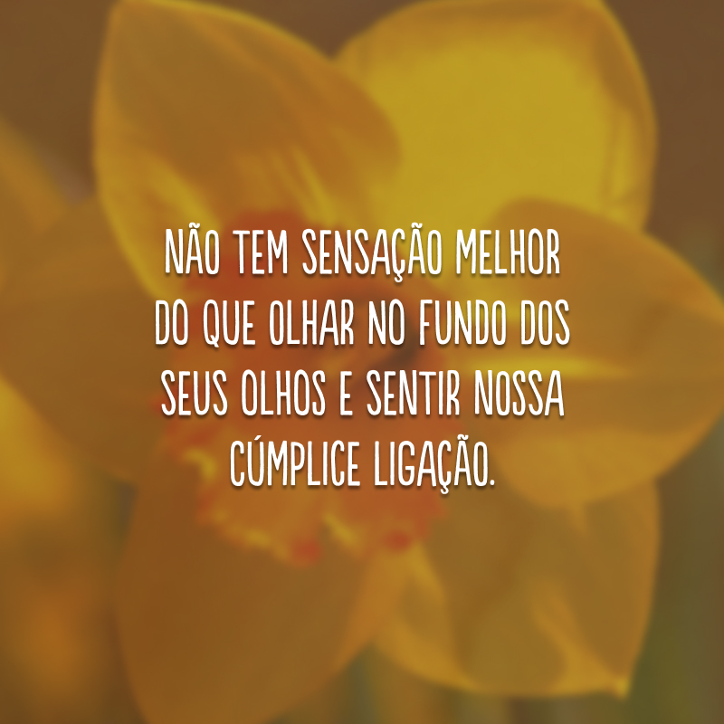 Não tem sensação melhor do que olhar no fundo dos seus olhos e sentir nossa cúmplice ligação.
