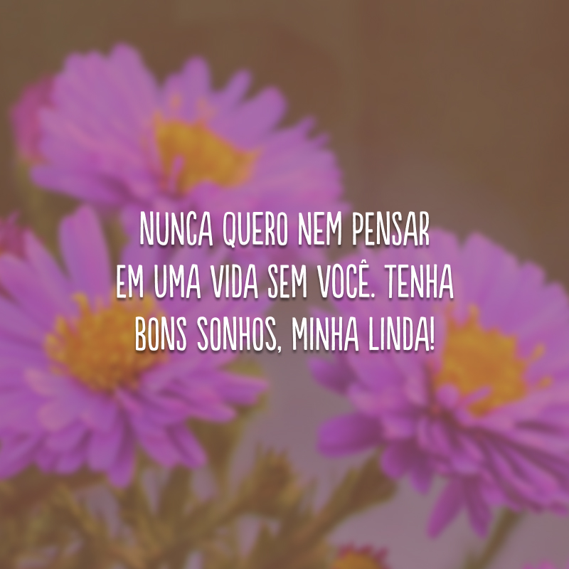 Nunca quero nem pensar em uma vida sem você. Tenha bons sonhos, minha linda!
