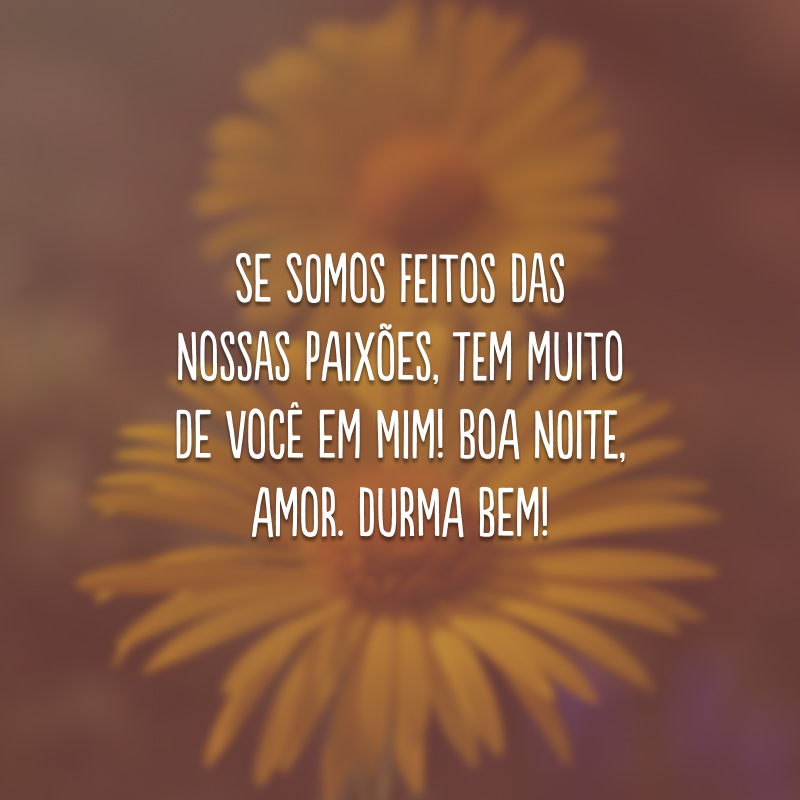 Se somos feitos das nossas paixões, tem muito de você em mim! Boa noite, amor. Durma bem!
