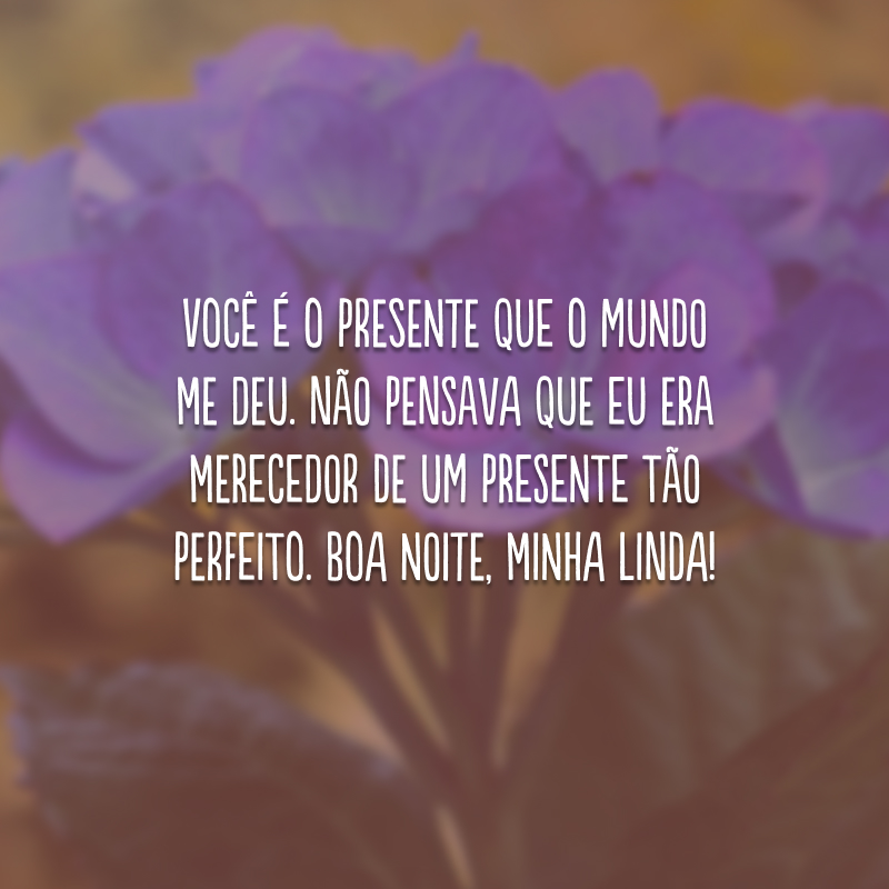 Você é o presente que o mundo me deu. Não pensava que eu era merecedor de um presente tão perfeito. Boa noite, minha linda!