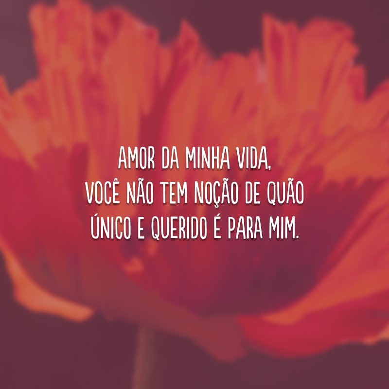 Amor da minha vida, você não tem noção de quão único e querido é para mim.
