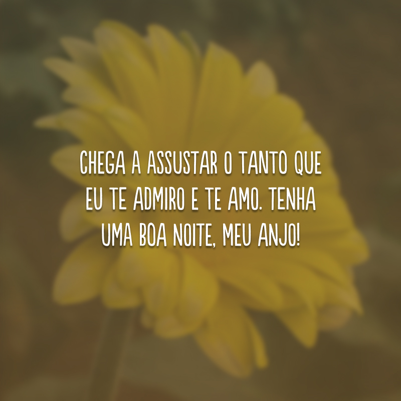 Chega a assustar o tanto que eu te admiro e te amo. Tenha uma boa noite, meu anjo!
