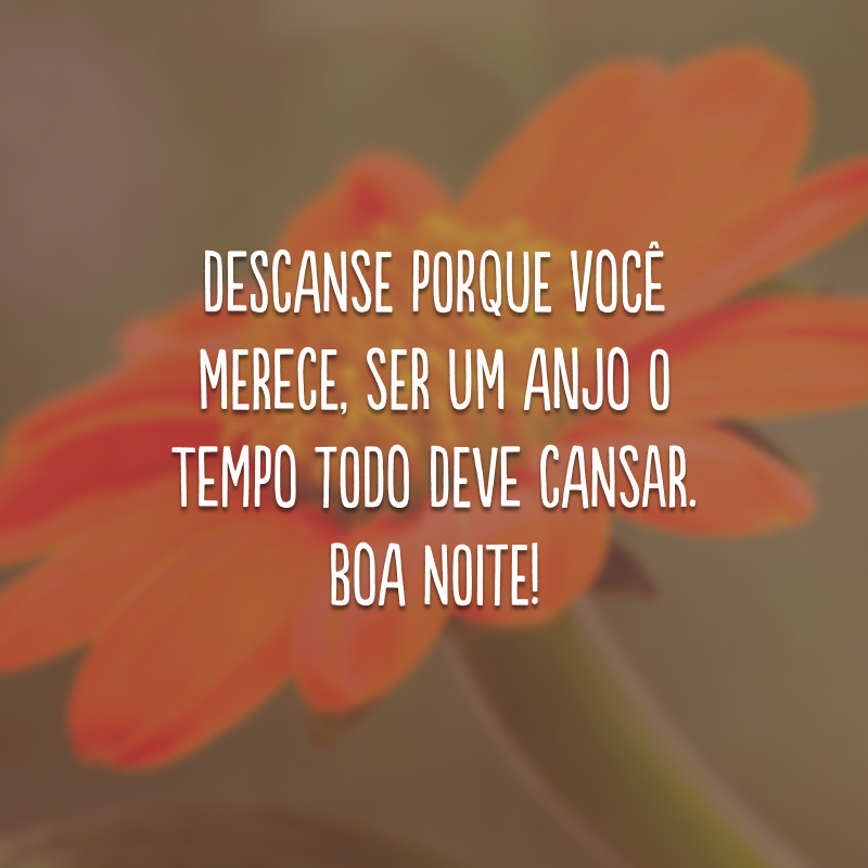 Descanse porque você merece, ser um anjo o tempo todo deve cansar. Boa noite!
