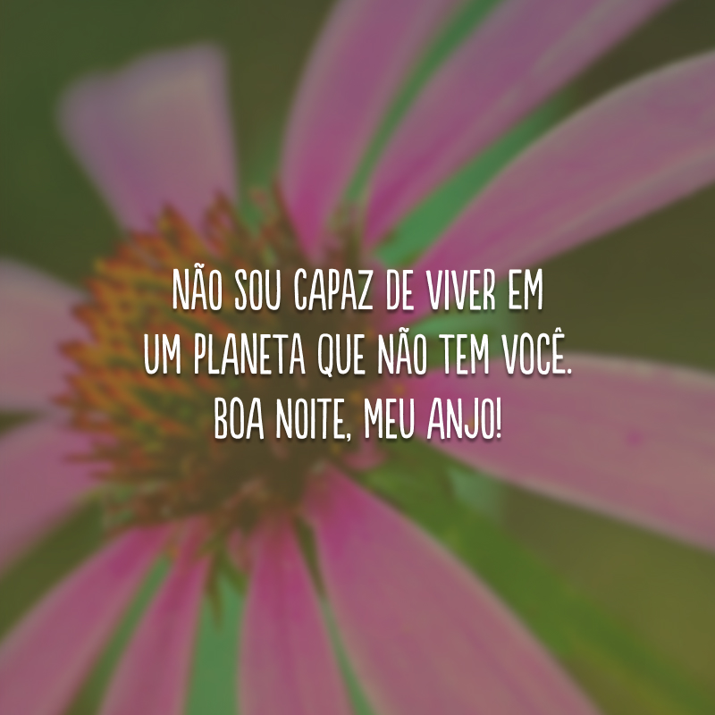 Não sou capaz de viver em um planeta que não tem você. Boa noite, meu anjo! 
