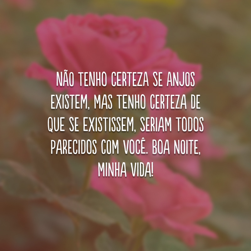 Não tenho certeza se anjos existem, mas tenho certeza de que se existissem, seriam todos parecidos com você. Boa noite, minha vida!
