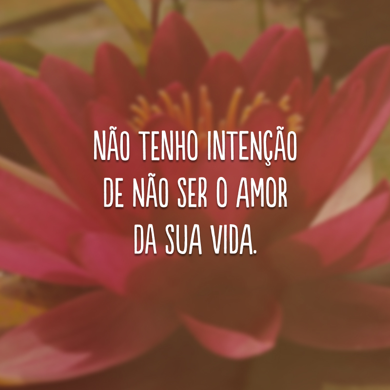 Não tenho intenção de não ser o amor da sua vida.
