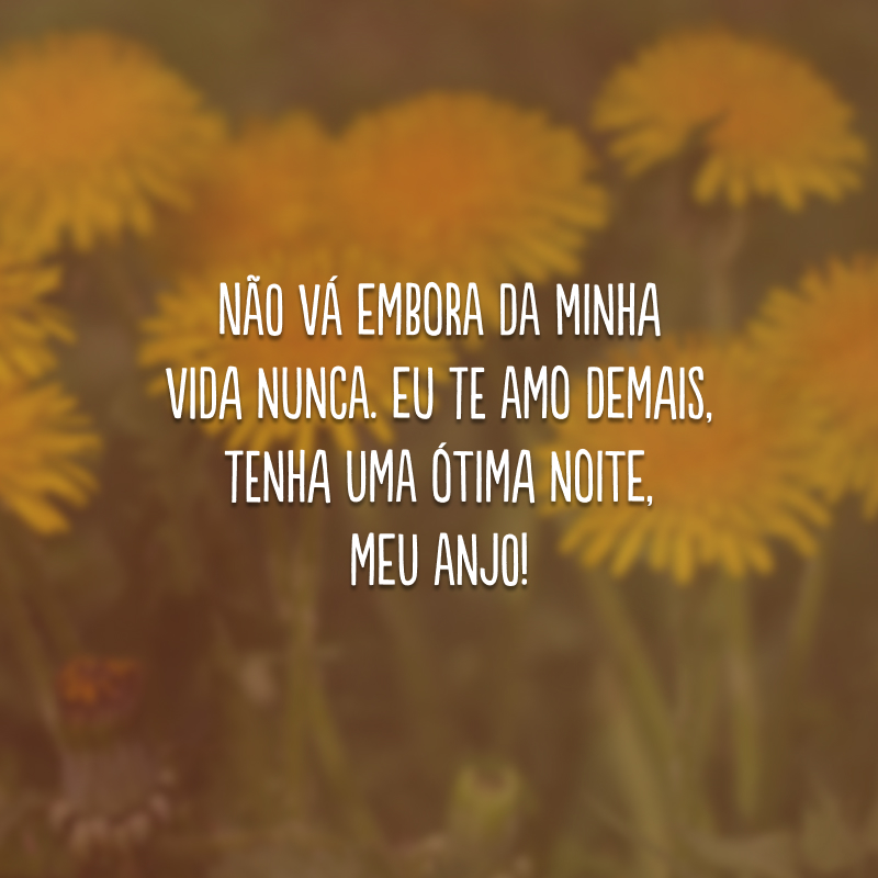 Não vá embora da minha vida nunca. Eu te amo demais, tenha uma ótima noite, meu anjo!
