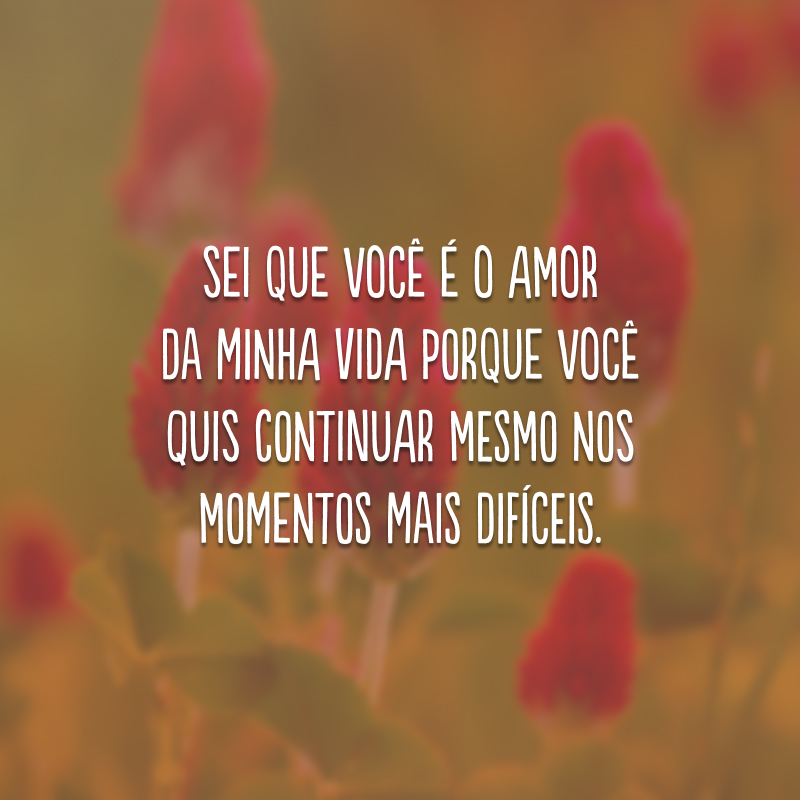 Sei que você é o amor da minha vida porque você quis continuar mesmo nos momentos mais difíceis. 
