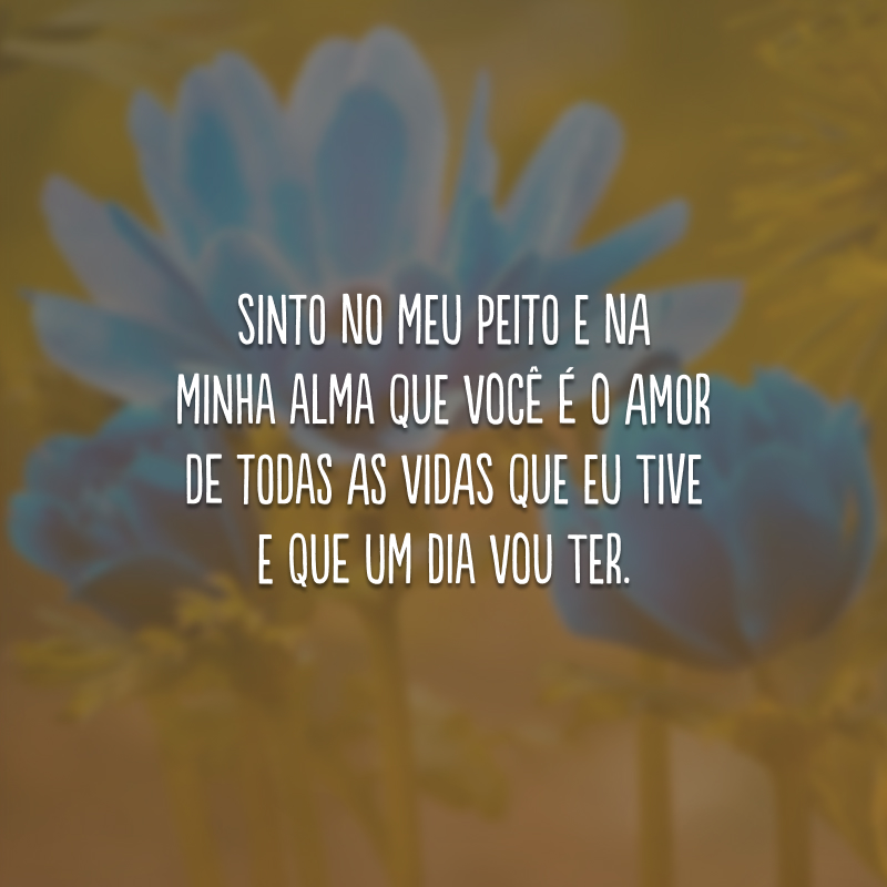 Sinto no meu peito e na minha alma que você é o amor de todas as vidas que eu tive e que um dia vou ter.
