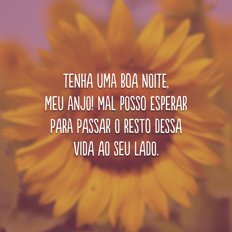 Tenha uma boa noite, meu anjo! Mal posso esperar para passar o resto dessa vida ao seu lado.
