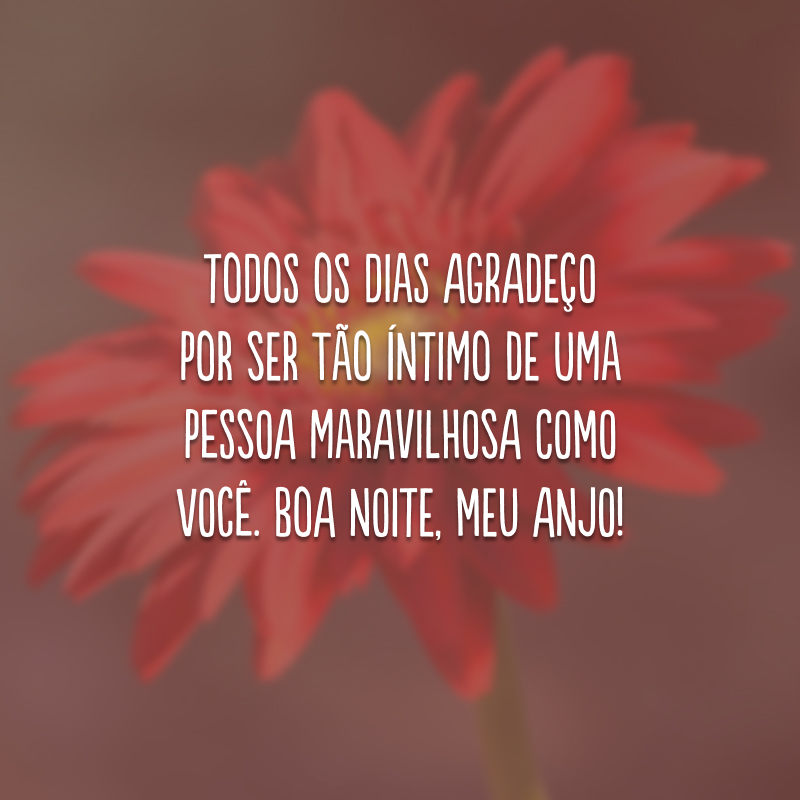 Todos os dias agradeço por ser tão íntimo de uma pessoa maravilhosa como você. Boa noite, meu anjo!

