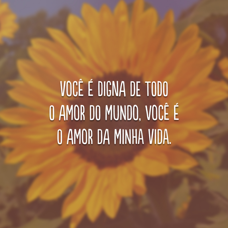 Você é digna de todo o amor do mundo, você é o amor da minha vida.