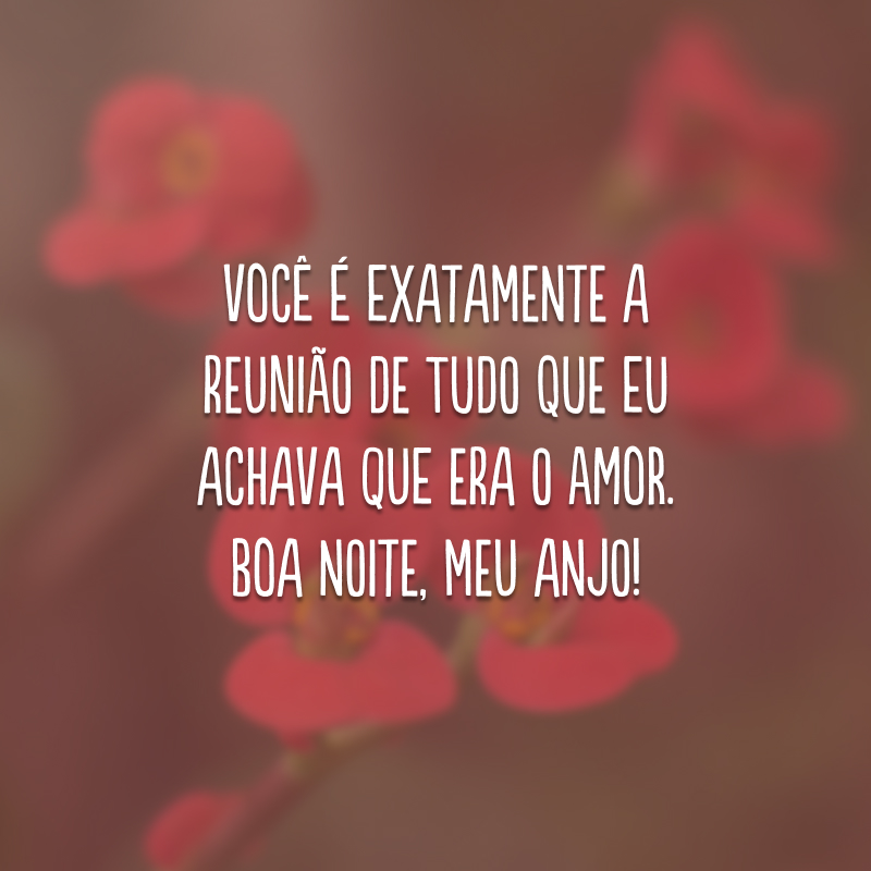 Você é exatamente a reunião de tudo que eu achava que era o amor. Boa noite, meu anjo!
