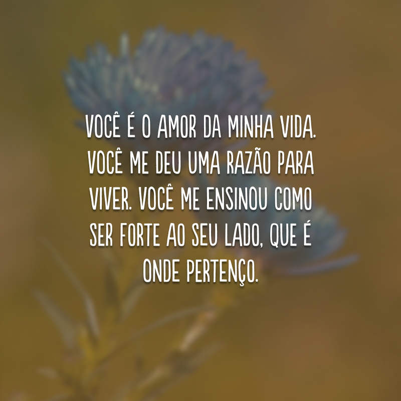 Você é o amor da minha vida. Você me deu uma razão para viver. Você me ensinou como ser forte ao seu lado, que é onde pertenço. 