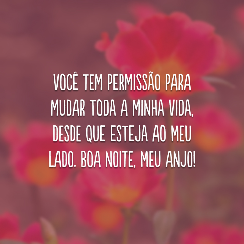 Você tem permissão para mudar toda a minha vida, desde que esteja ao meu lado. Boa noite, meu anjo!
