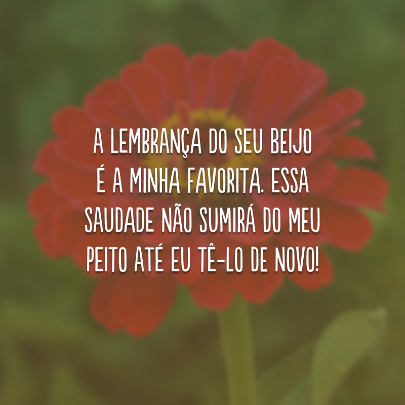 A lembrança do seu beijo é a minha favorita. Essa saudade não sumirá do meu peito até eu tê-lo de novo!
