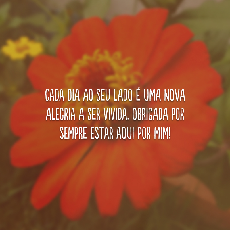 Cada dia ao seu lado é uma nova alegria a ser vivida. Obrigada por sempre estar aqui por mim!
