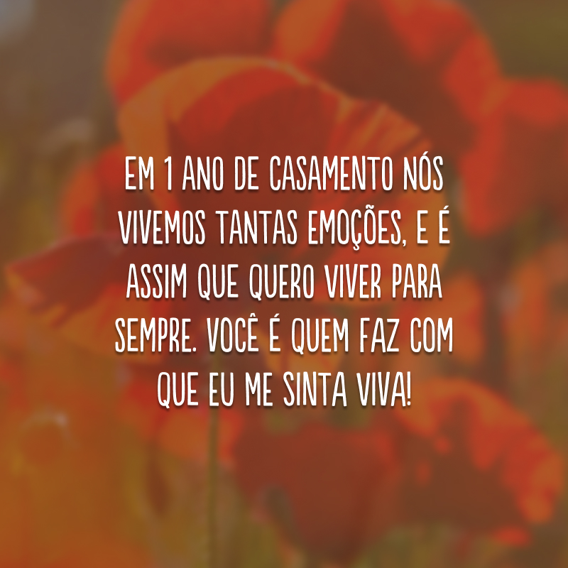 Em 1 ano de casamento nós vivemos tantas emoções, e é assim que quero viver para sempre. Você é quem faz com que eu me sinta viva!