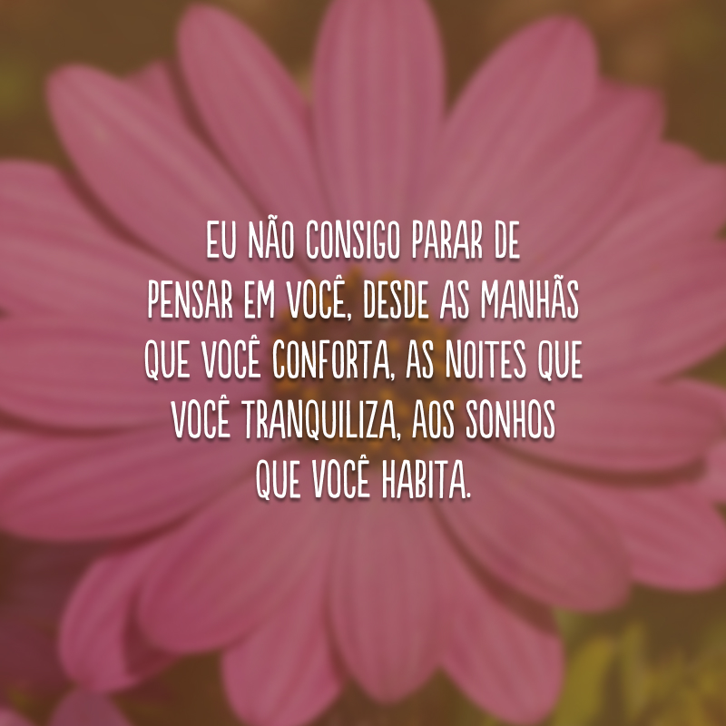 Eu não consigo parar de pensar em você, desde as manhãs que você conforta, as noites que você tranquiliza, aos sonhos que você habita.