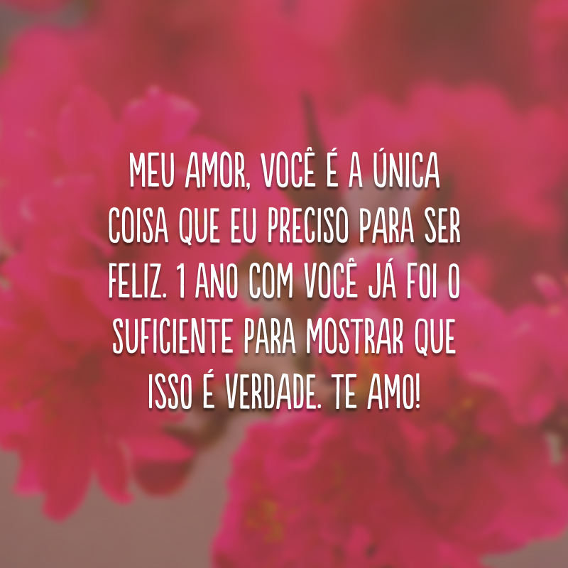 Meu amor, você é a única coisa que eu preciso para ser feliz. 1 ano com você já foi o suficiente para mostrar que isso é verdade. Te amo!
