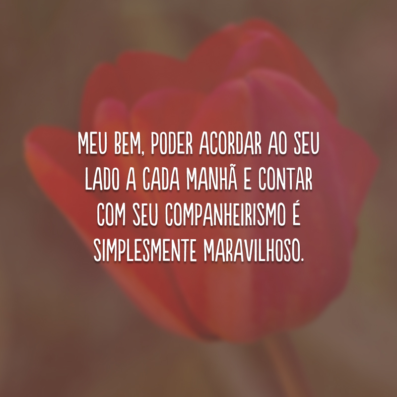 Meu bem, poder acordar ao seu lado a cada manhã e contar com seu companheirismo é simplesmente maravilhoso.
