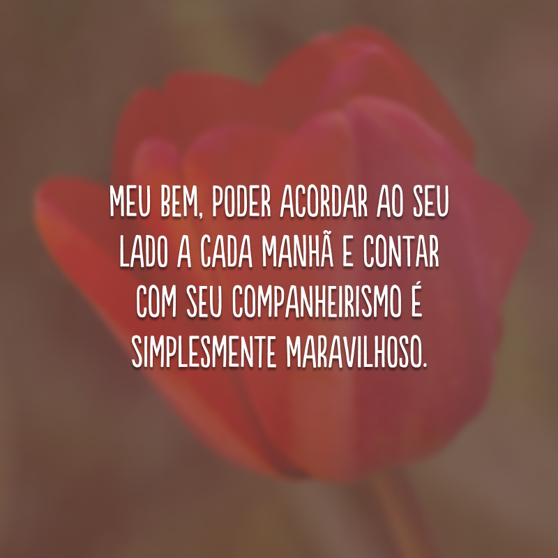 Meu bem, poder acordar ao seu lado a cada manhã e contar com seu companheirismo é simplesmente maravilhoso.