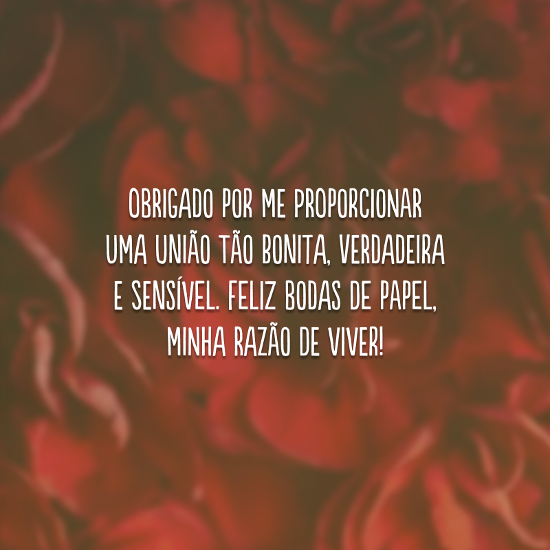 Obrigado por me proporcionar uma união tão bonita, verdadeira e sensível. Feliz bodas de papel, minha razão de viver!
