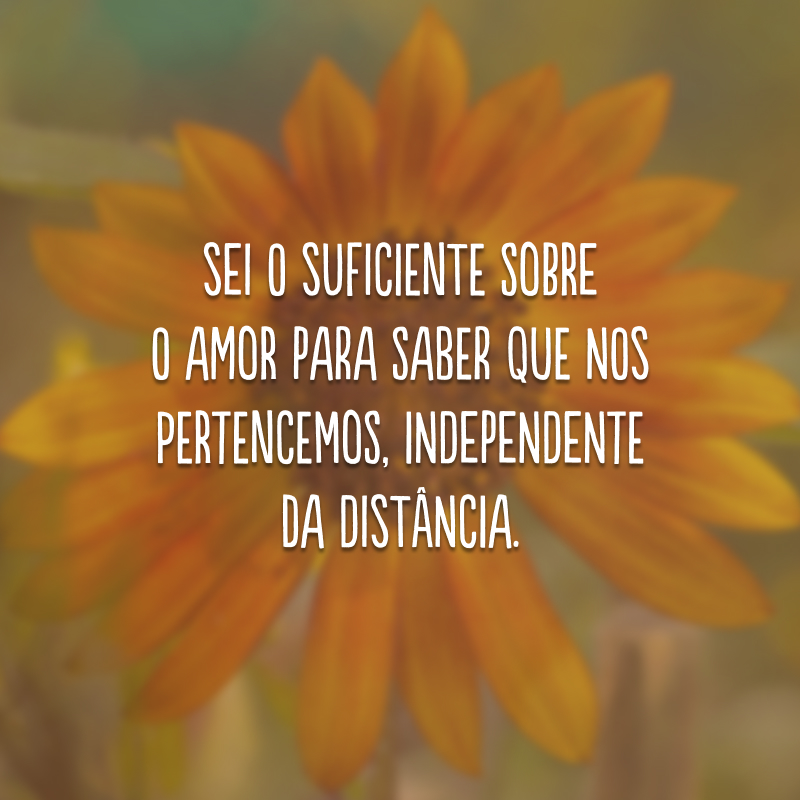 Sei o suficiente sobre o amor para saber que nos pertencemos, independente da distância.