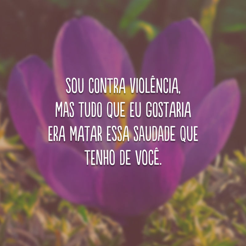 Sou contra violência, mas tudo que eu gostaria era matar essa saudade que tenho de você.
