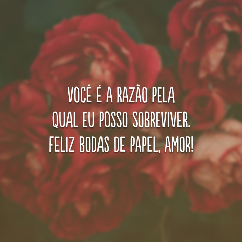 Você é a razão pela qual eu posso sobreviver. Feliz bodas de papel, amor!