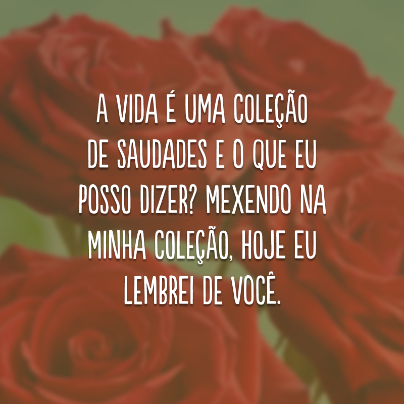 A vida é uma coleção de saudades e o que eu posso dizer? Mexendo na minha coleção, hoje eu lembrei de você.