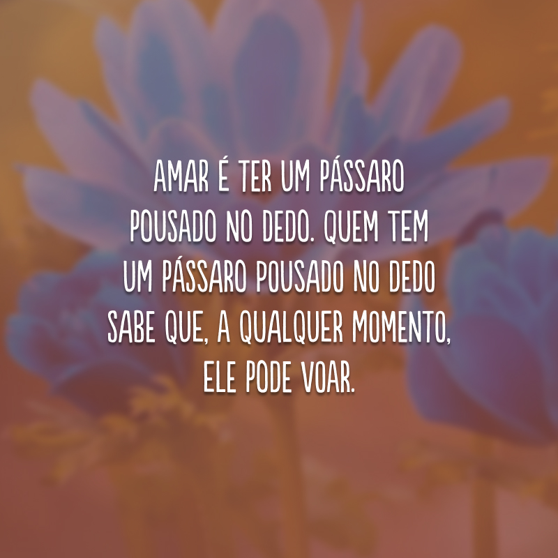 Amar é ter um pássaro pousado no dedo. Quem tem um pássaro pousado no dedo sabe que, a qualquer momento, ele pode voar. 