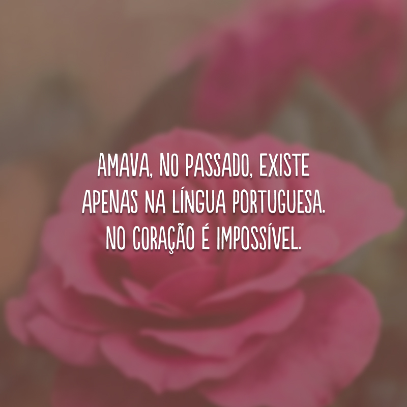 Amava, no passado, existe apenas na língua portuguesa. No coração é impossível.
