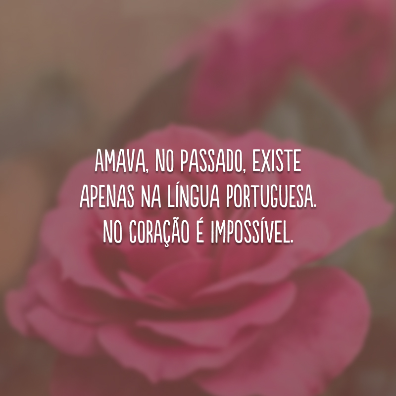 Amava, no passado, existe apenas na língua portuguesa. No coração é impossível.
