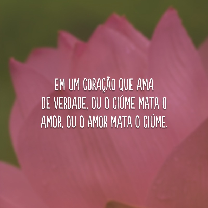 Em um coração que ama de verdade, ou o ciúme mata o amor, ou o amor mata o ciúme.