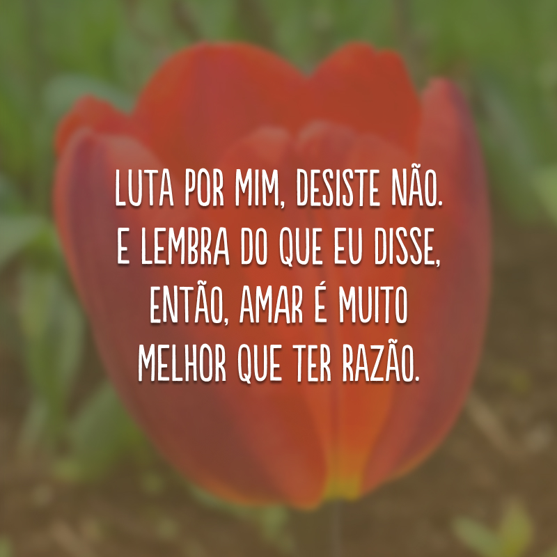 Luta por mim, desiste não. E lembra do que eu disse, então, amar é muito melhor que ter razão.